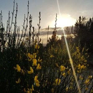 Meet your Posher, Anelia